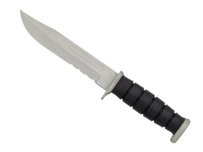 117618 – HERBERTZ BOWIE NOIR 18CM DENTS INOX + ETUI