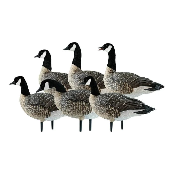 6 formes de bernache AvianX Full body active