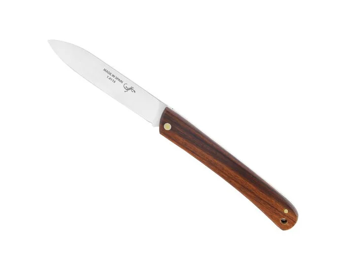 64243 – COUTEAU SALAMANDRA BOIS DE SANTOS 10,5CM INOX