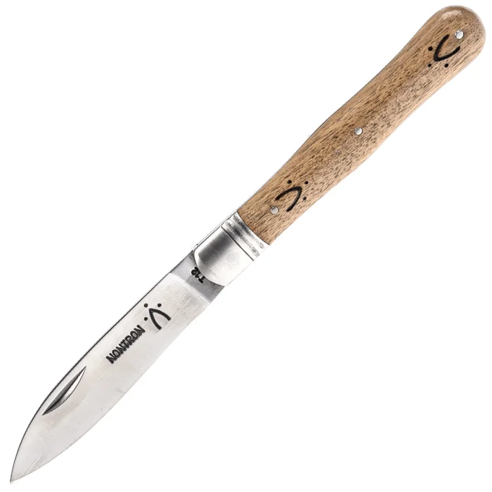87310 – Nontron Violon PP