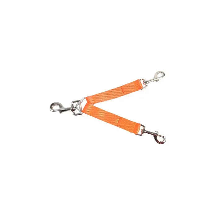 Accouple pour deux chiens orange