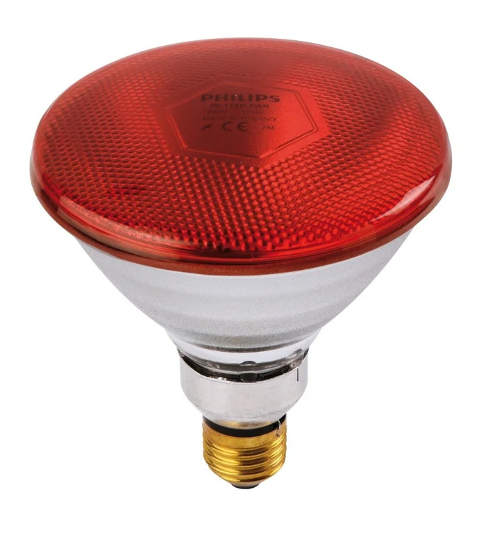 Ampoule PHILIPS IR/PAR rouge 100W