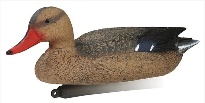 Appelant canard colvert femelle