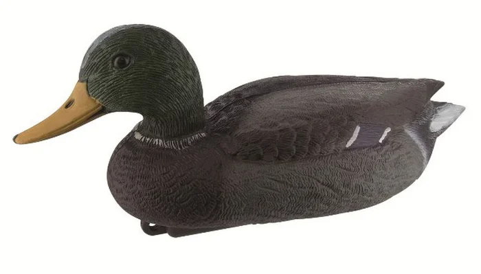 APPELANT CANARD COLVERT MALE