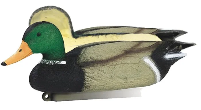 Appelant canard colvert mâle moussé