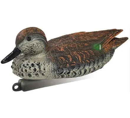 Appelant canard sarcelle d hiver femelle