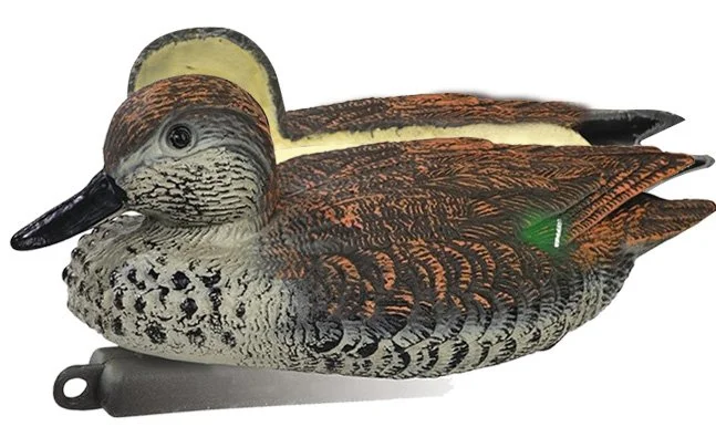 Appelant canard sarcelle femelle moussé