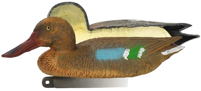 Appelant canard souchet femelle moussé