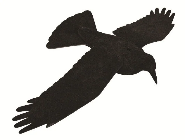 Appelant corbeau ailes ouvertes souples