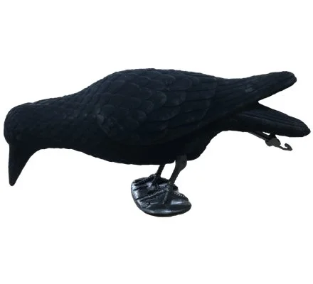Appelant corbeau mangeur floqué avec pattes