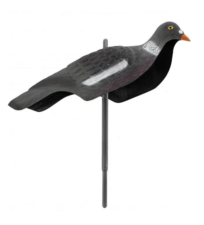 Appelant pigeon anglais