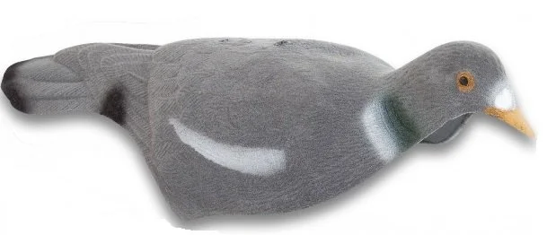Appelant pigeon coquille (creux) floqué