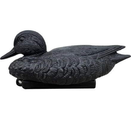 Appelant sarcelle moussée noire – Image 2