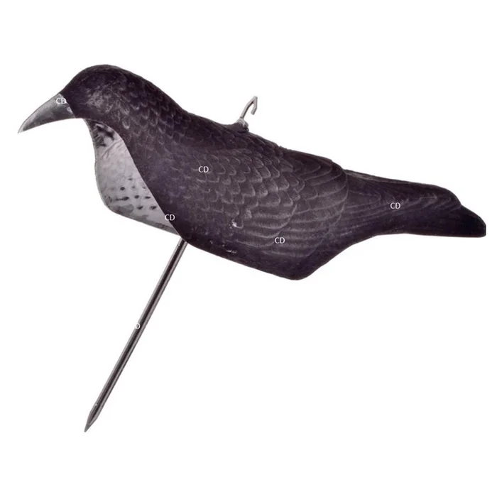 Appelants Stepland Coque Corbeau Magnum Floqué Par 24
