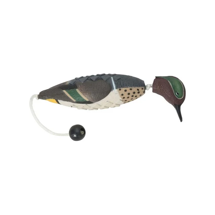 Apportable sarcelle pour chien de chasse