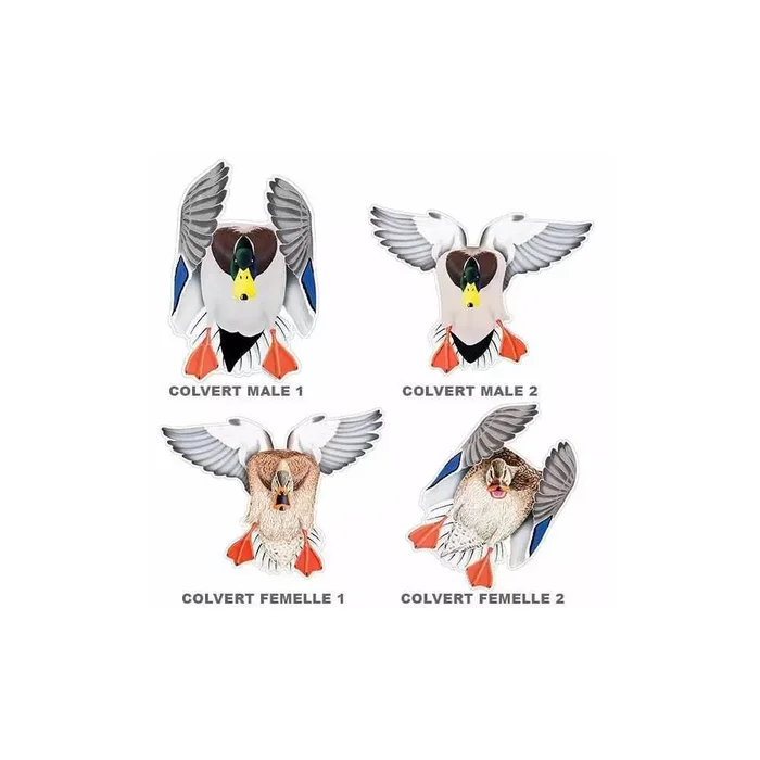 Autocollant vinyl colvert