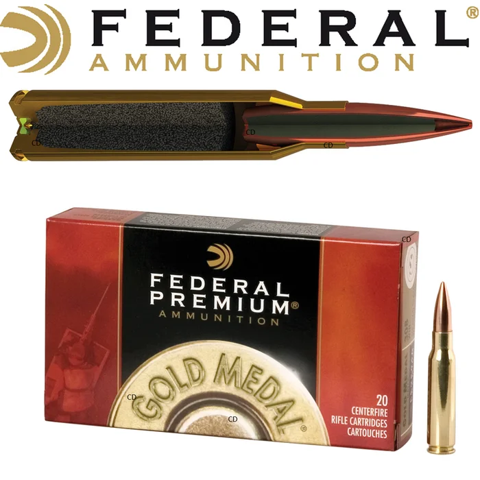 Balles Fédéral Sierra Matchking BTHP Gold Medal Riffle 308 Win 168 Grains Par 20