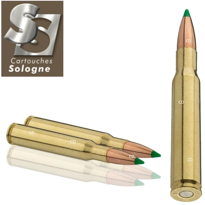 BALLES SUBSONIQUES SOLOGNE 30-06 Sprg 220 GRAINS PAR 20