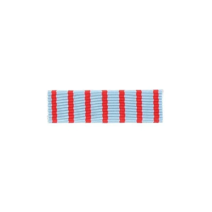 Barrette dixmude Combattant