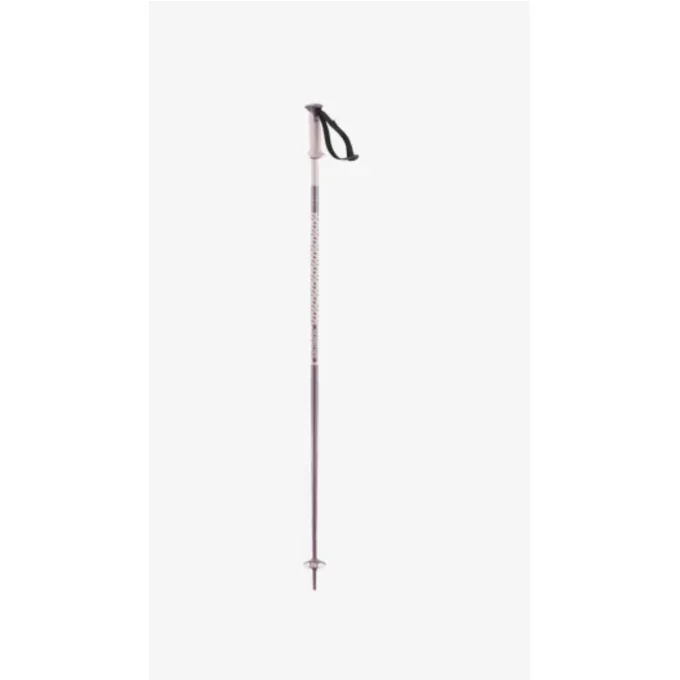 BATONS de ski alpin salomon POLAR