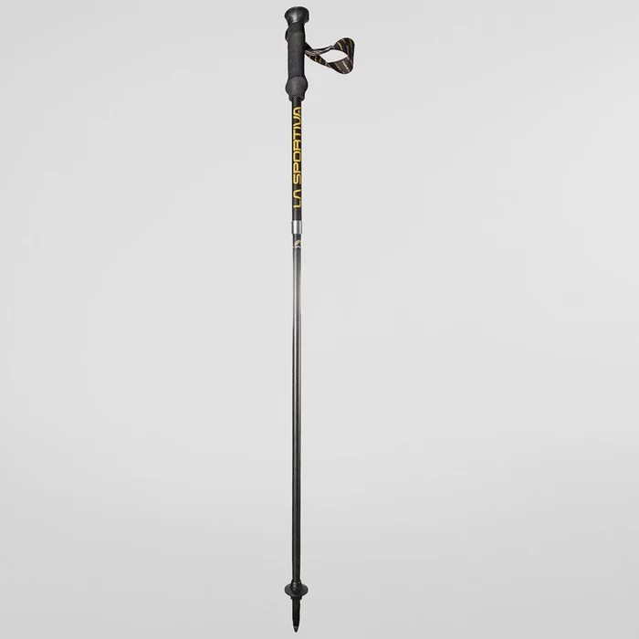 Bâtons Trail Speed Carbon
