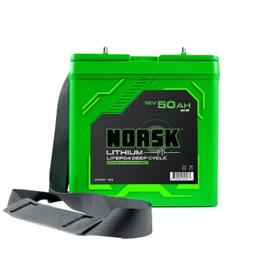 Batterie Norsk 12,8V 50AH LiFePO4 Cycle Profond – Guardian