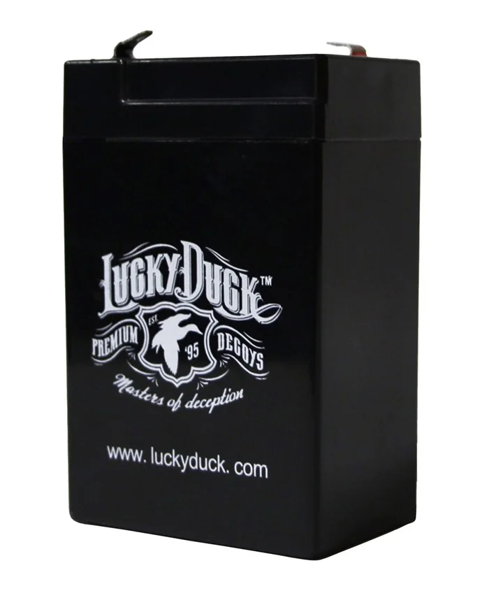 Batterie rechargeable universelle 6V Lucky Duck