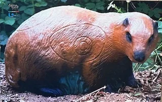 BLASON 2D ITAL MARMOTTE