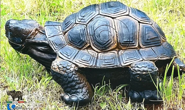 BLASON 2D ITAL TORTUE