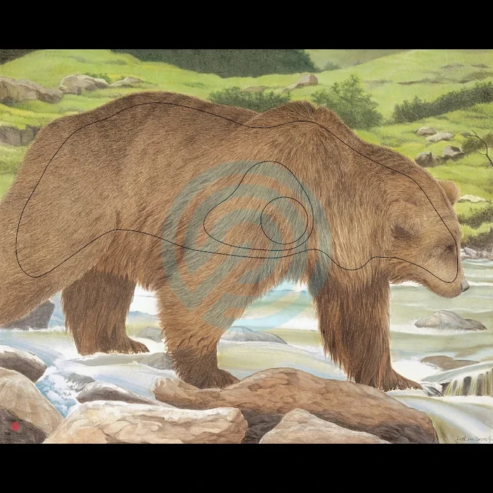 Blason Animalier tir à l’arc JVD Bear