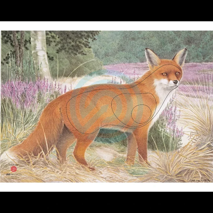 Blason Animalier tir à l’arc JVD Fox