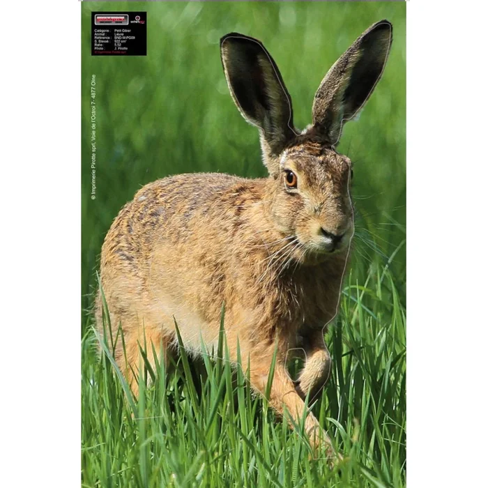 Blason Animalier tir à l&rsquo;arc Maximal Small Game 40X60 Hare Alert