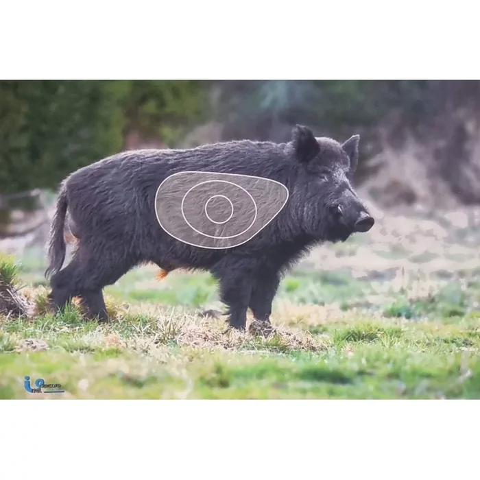 BLASON ITAL ESPANSO SANGLIER