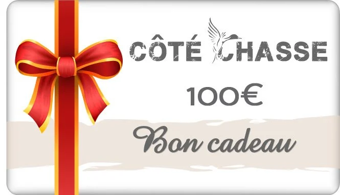 Bon cadeau 100€
