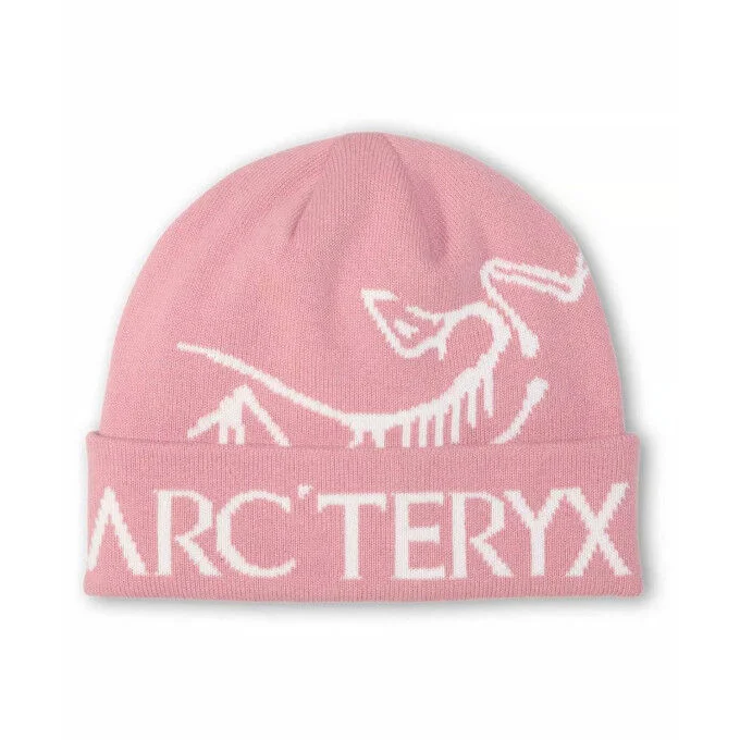 Bonnet Unisexe Arc’Teryx Bird Word / Bliss/Arctic Silk