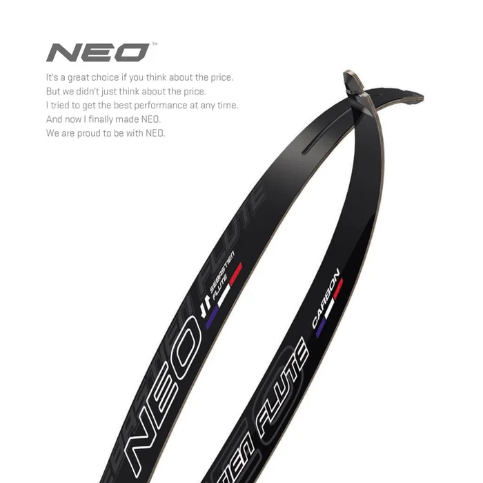 BRANCHES SF NEO CARBON BOIS