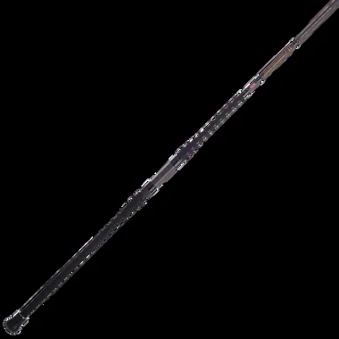 Canne à pêche côtière PENN Battalion™ II – BATSFII1530S10