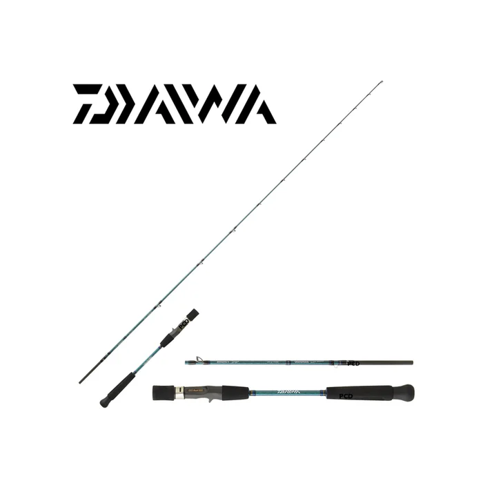 CANNE CASTING DAIWA GRANDWAVE BAITCASTING 66HBAF