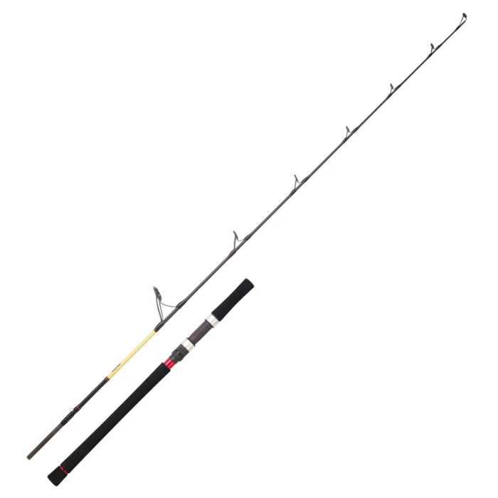 Canne Casting Daiwa Grandwave Jigging