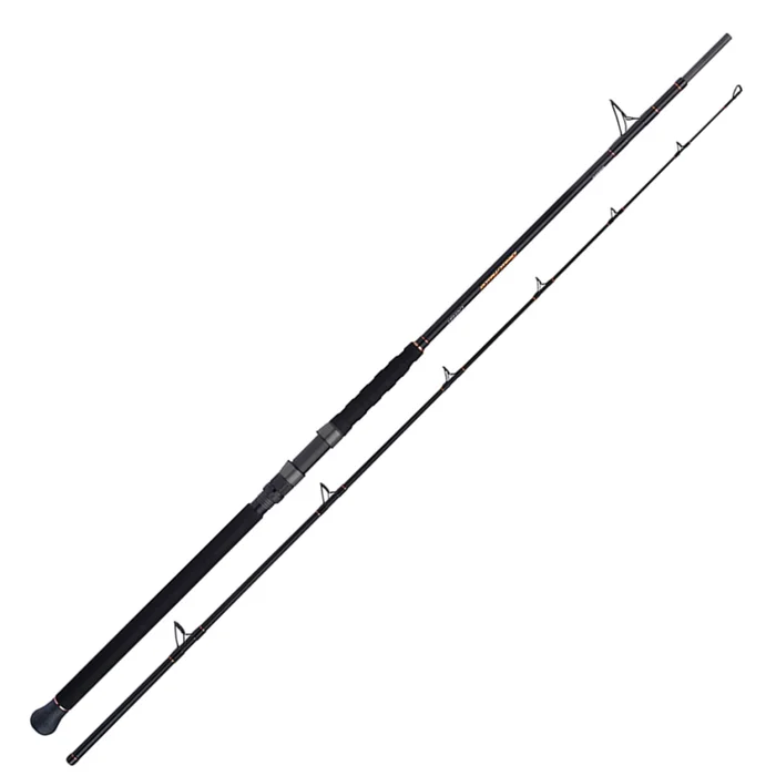 Canne Silure Shimano Beastmaster Catfish Vertical Spinning