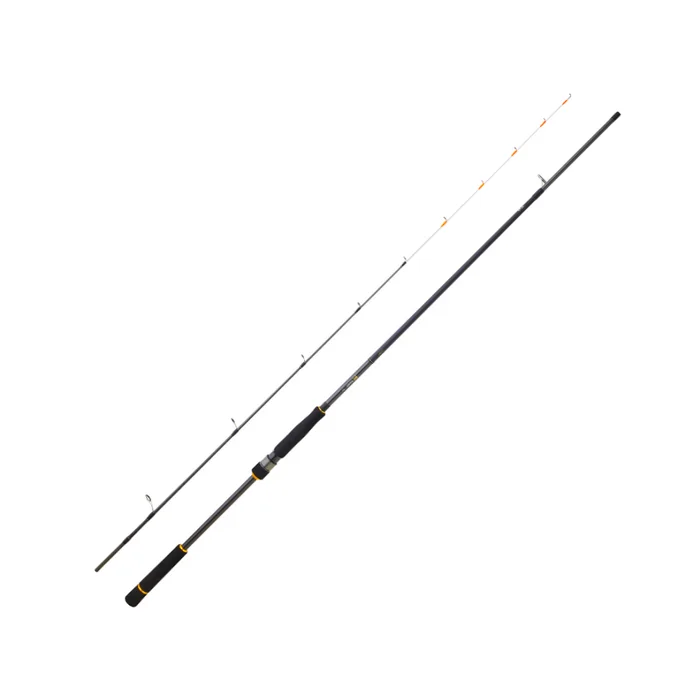 Canne Spinning Daiwa BG Tenya Game