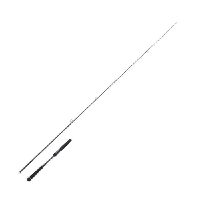 Canne Spinning Daiwa Labrax Seabass