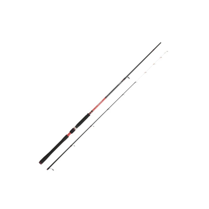 Canne Spinning Daiwa Powermesh Tenya AF