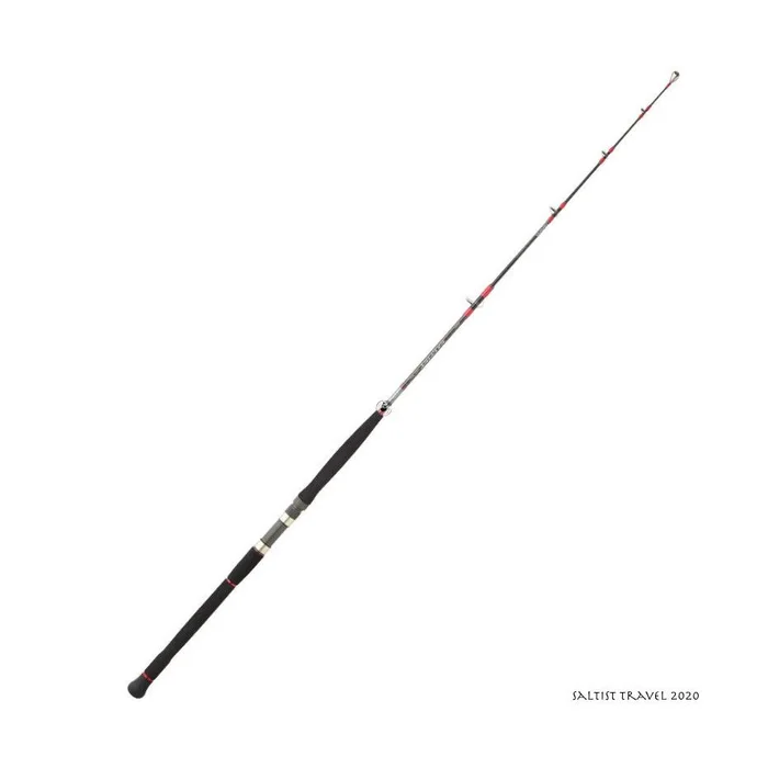 Canne Spinning Mer Daiwa Saltist Travel 2020