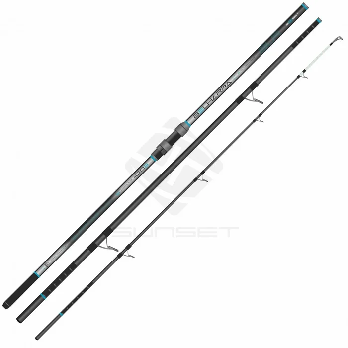 Canne Surfcasting Sunset Belharra Surf Power