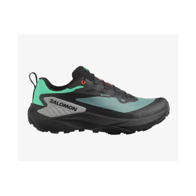 Chaussures Salomon GENESIS GTX