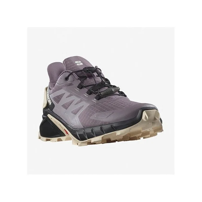 Chaussures Salomon Speedcross 4
