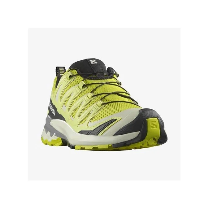 Chaussures Trail Salomon XA PRO 3D V9 Trail
