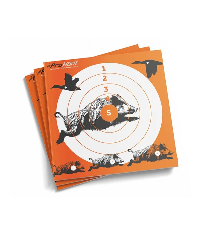 Cible 14 x 14 cm lot 10 pieces Pro Hunt