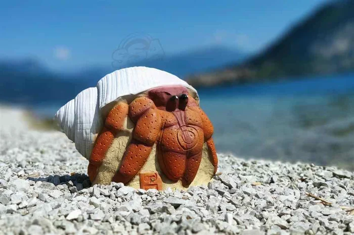 CIBLE 3D HERMIT CRAB